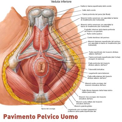 Riabilitazione-post-prostatectomia-radicale